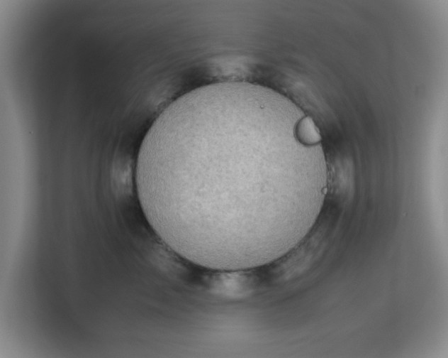 X0000113110717200909041246