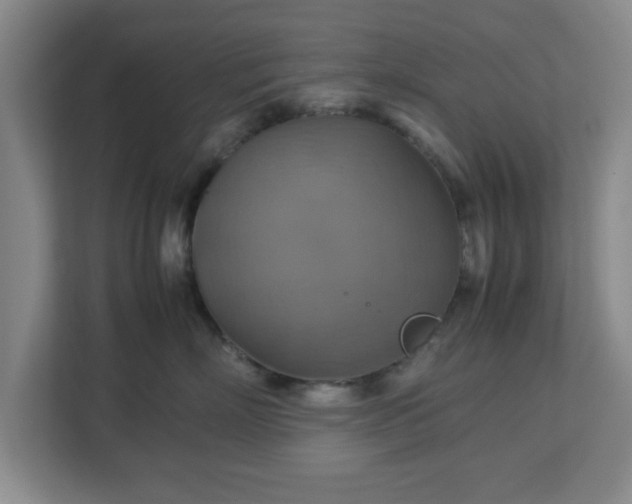 X0000113110718200909041246