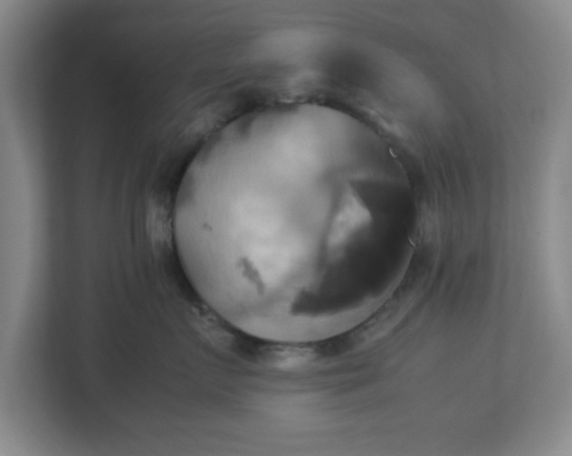 X0000113110719200909041246