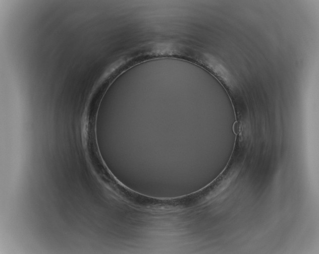 X0000113110722200909041245