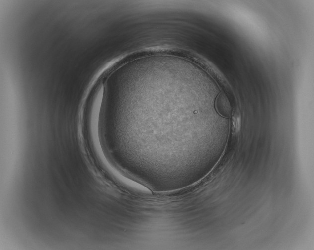 X0000113110724200909041245