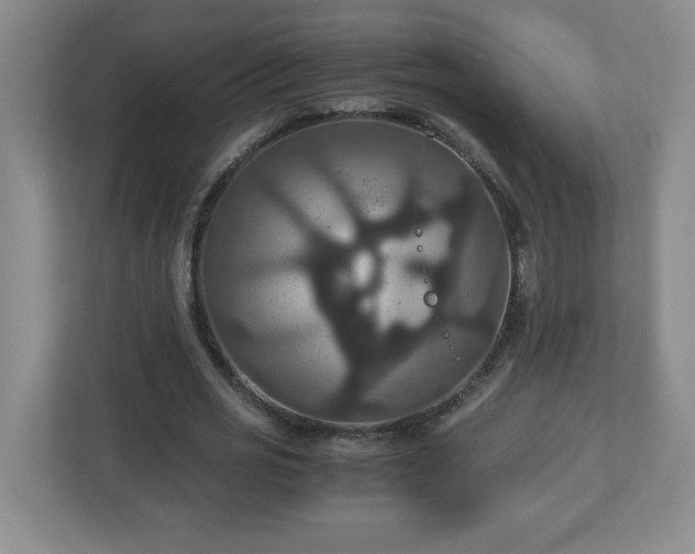 X0000113110725200909041245