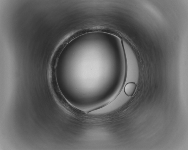 X0000113110726200909041245