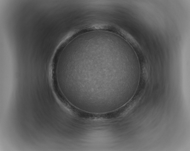 X0000113110730200909041245