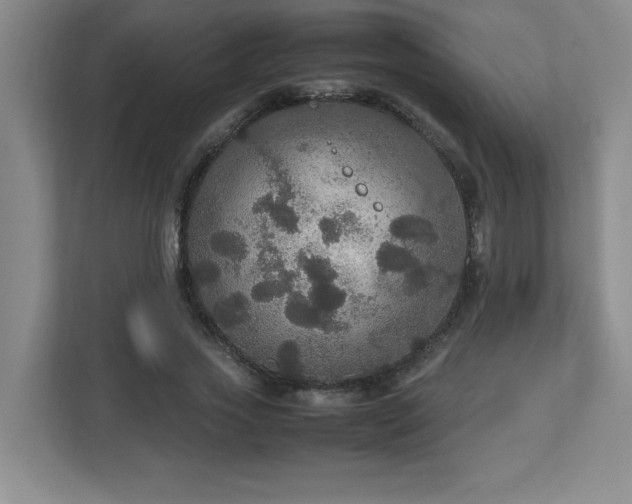 X0000113110733200909041245