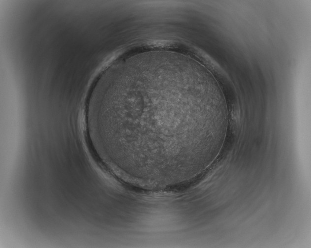 X0000113110734200909041245