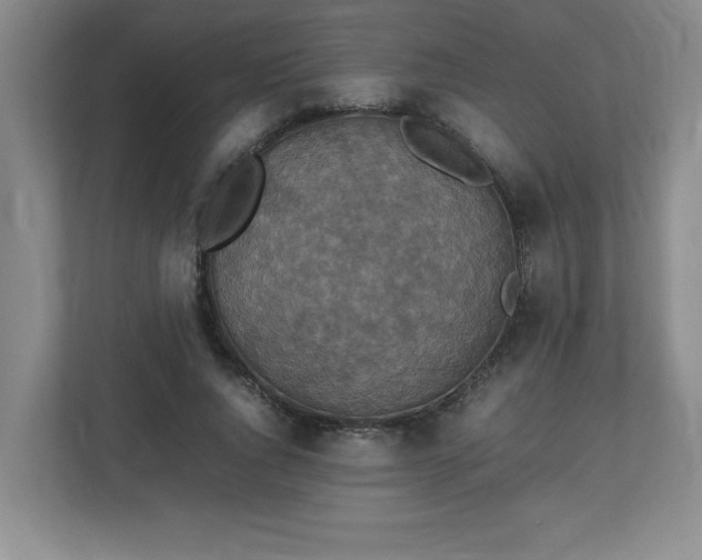 X0000113110736200909041245