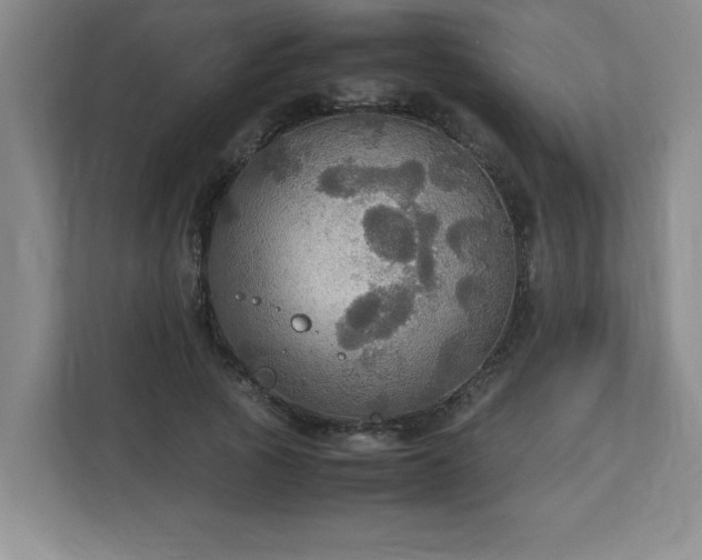 X0000113110737200909041245