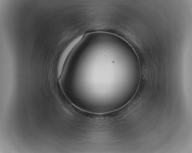 X0000113110740200909041245