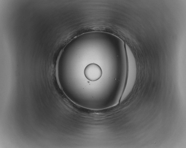 X0000113110748200909041246