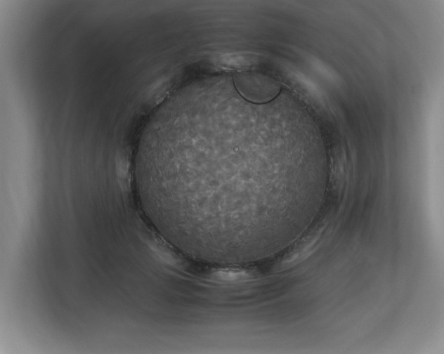 X0000113110749200909041246
