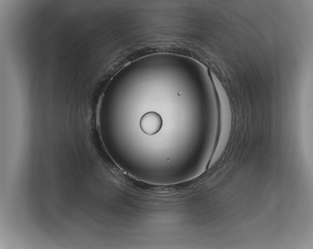 X0000113110750200909041246