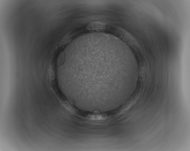 X0000113110751200909041246