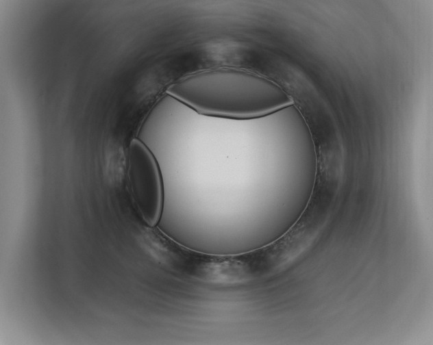 X0000113110752200909041246