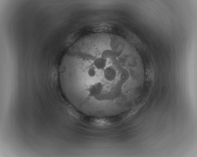 X0000113110753200909041246