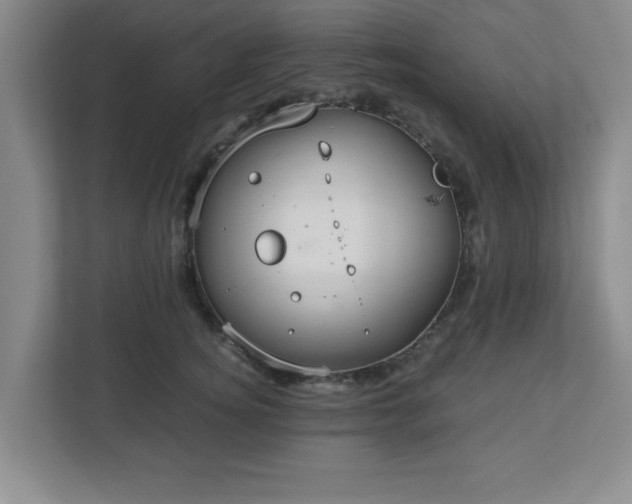 X0000113110756200909041246
