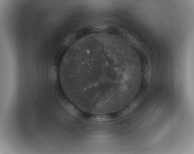 X0000113110758200909041246