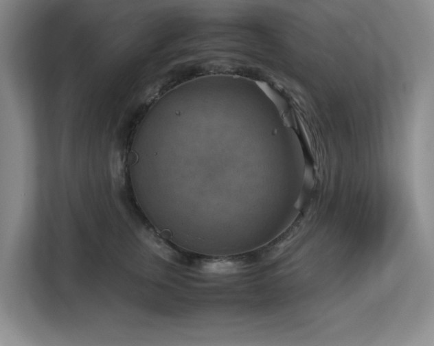 X0000113110759200909041246