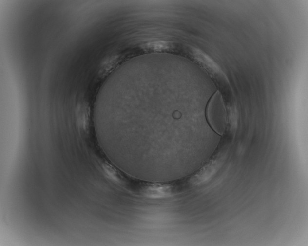 X0000113110760200909041246