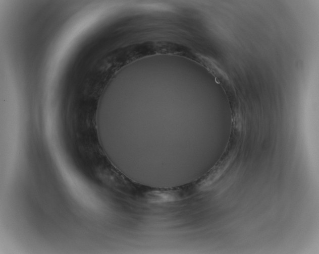 X0000113110763200909041246