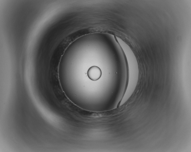 X0000113110764200909041246