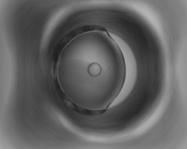 X0000113110766200909041246