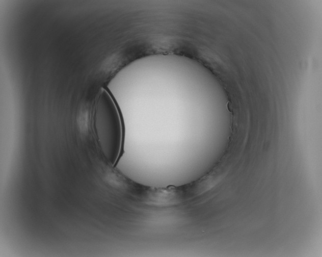 X0000113110768200909041246