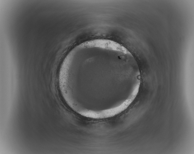X0000113110769200909041245