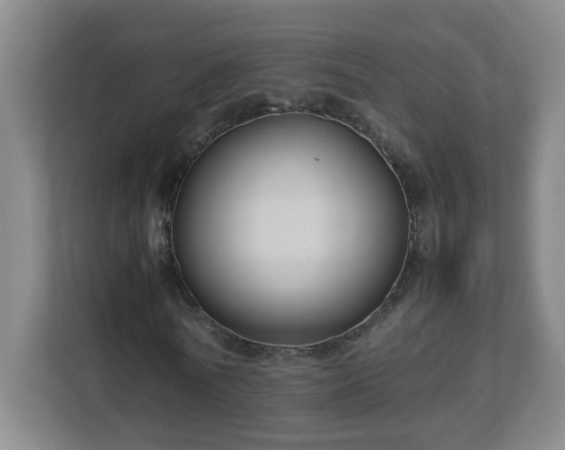 X0000113110770200909041245