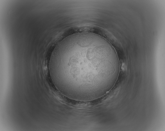 X0000113110771200909041245