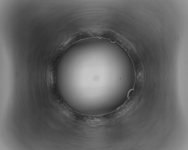 X0000113110772200909041245