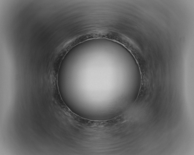 X0000113110773200909041245