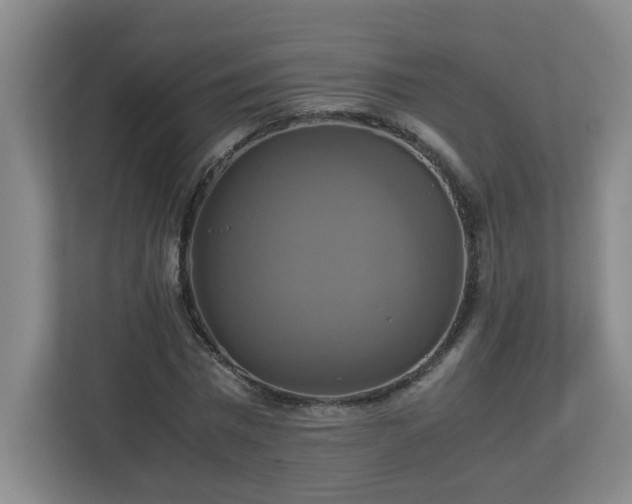 X0000113110777200909041245