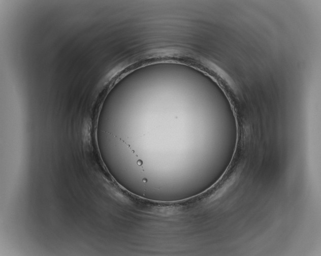 X0000113110778200909041245