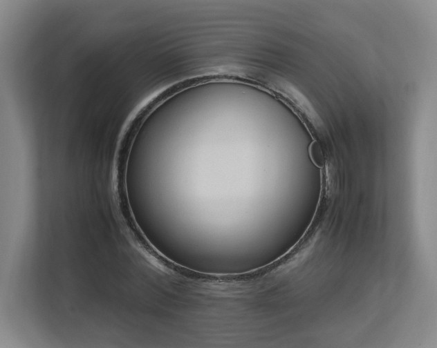 X0000113110780200909041245