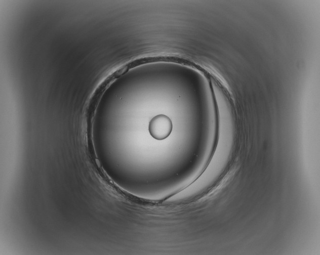 X0000113110781200909041245