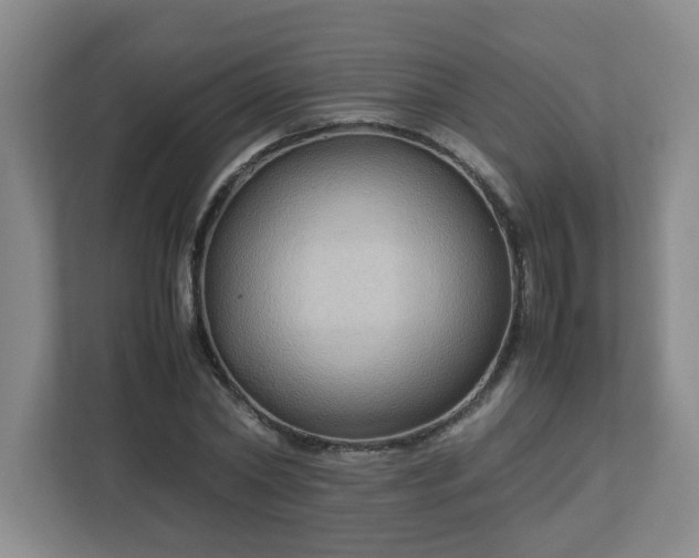 X0000113110782200909041245