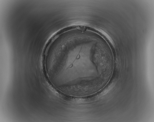 X0000113110783200909041245