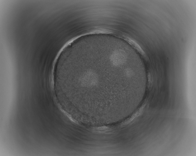 X0000113110784200909041245