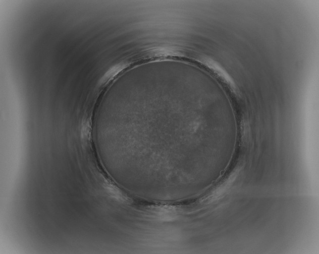 X0000113110785200909041245