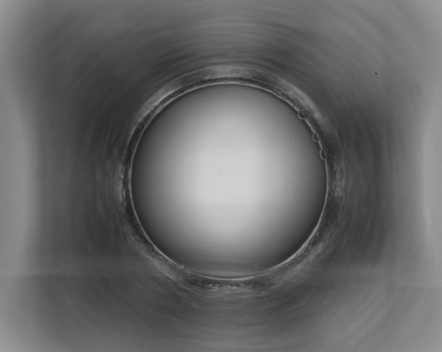 X0000113110786200909041245