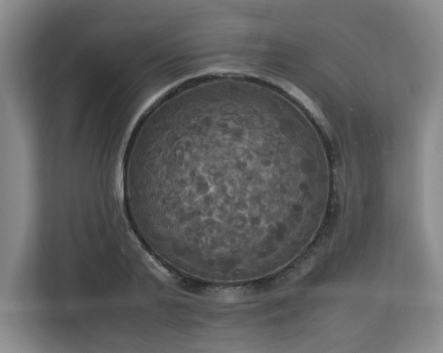 X0000113110791200909041245