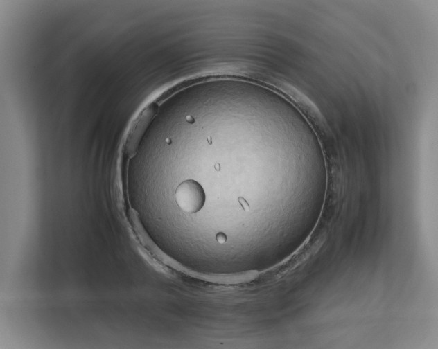 X0000113110792200909041245