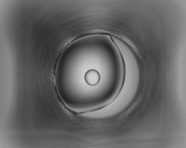 X0000113110793200909041245