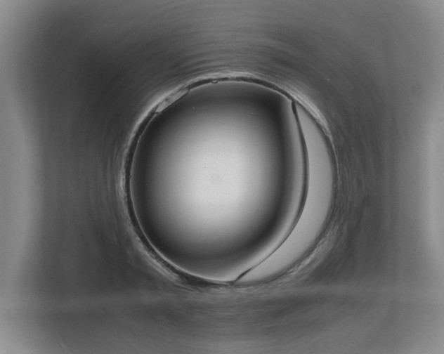 X0000113110797200909041245