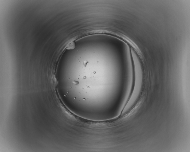 X0000113110801200909041245