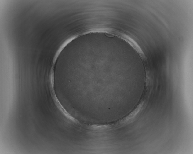 X0000113110804200909041245