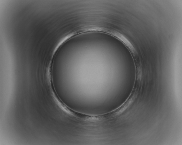 X0000113110806200909041245