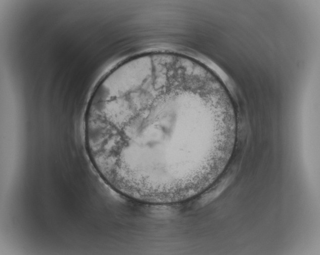 X0000113110807200909041245