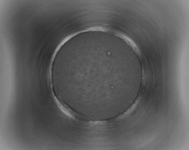 X0000113110808200909041245